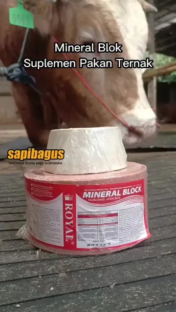 Mineral-Blok-Suplemen-Pakan-Ternak